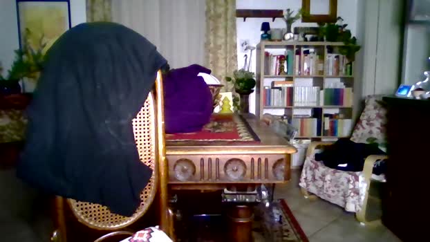 Porcopa 24-01-2026 Recorded Video kinky