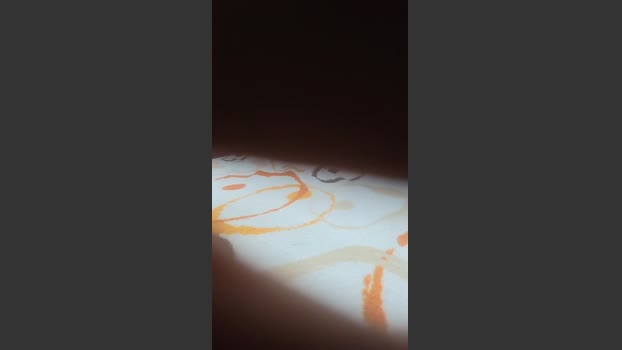 Salido042 24-01-2026 Recorded Video sweet