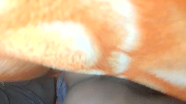 Sixpiar 26-01-2026 Recorded Video bigass