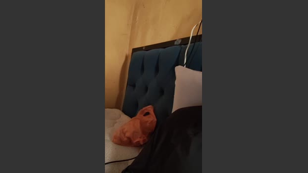 Vergagordaydura 27-01-2026 Recorded Video toy