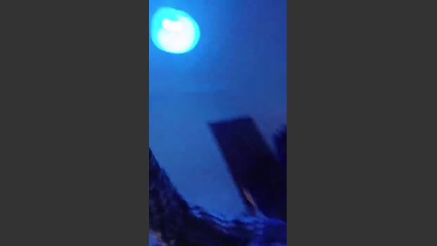 daddybearmadri5 27-01-2026 Recorded Video twink