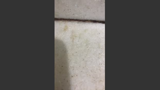 rodolfo445 27-01-2026 Recorded Video Ass