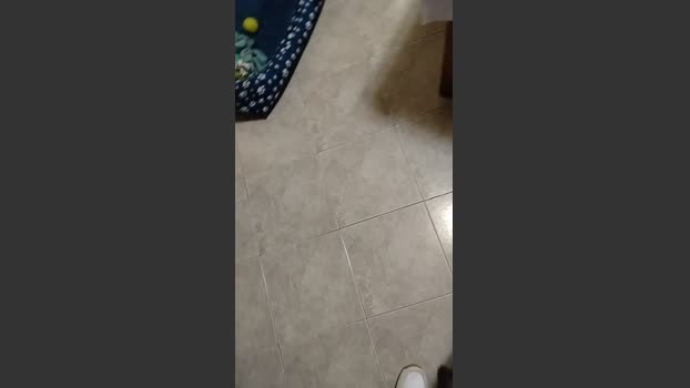 Mirko843 28-01-2026 Recorded Video bigdick