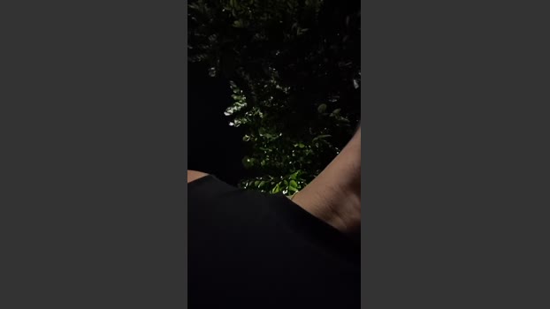 Sexylatinogay 28-01-2026 Recorded Video deep