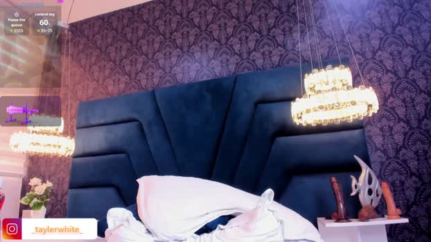 Tayler_White 27-01-2026 Recorded Video Download