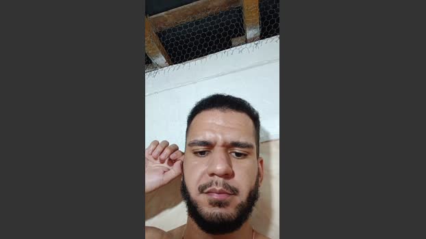 cachorrosolto1 28-01-2026 Recorded Video big
