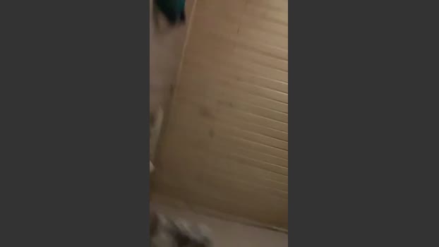 lucesneon 27-01-2026 Recorded Video big
