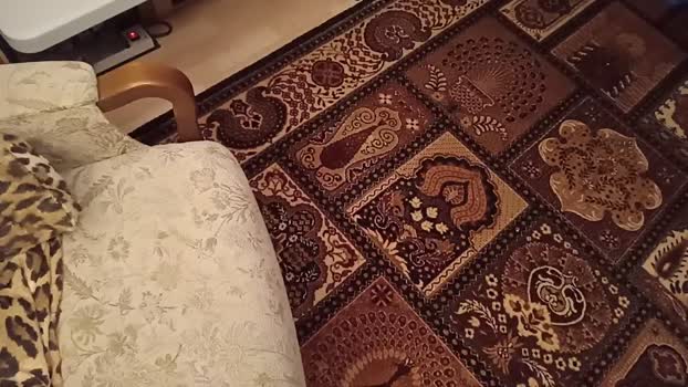 weed_whacker 27-01-2026 Recorded Video deep