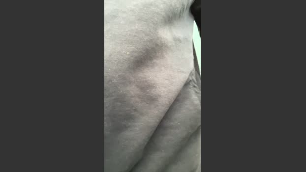 Danyblack1985 28-01-2026 Recorded Video lovense