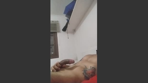 DotadoSBC1986 29-01-2026 Recorded Video lush