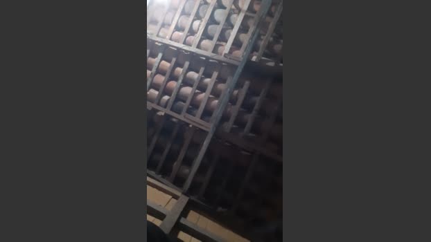 Guto6000 29-01-2026 Recorded Video Recorded