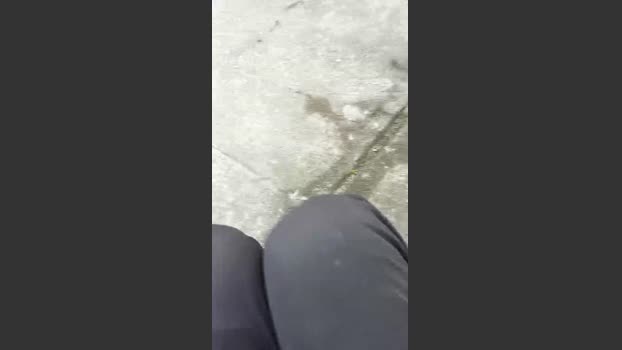 VanBaster25 28-01-2026 Recorded Video play