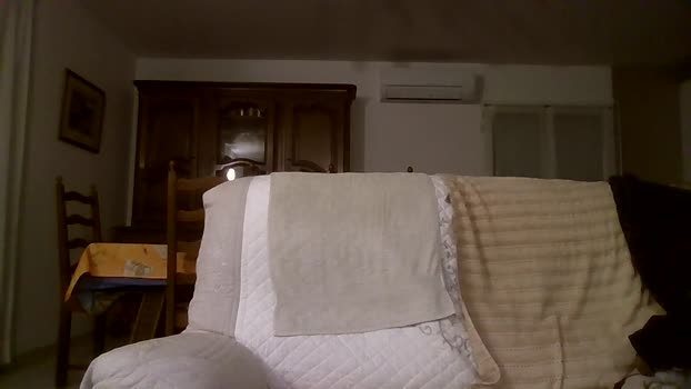 cybear 29-01-2026 Recorded Video hard