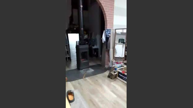nakedworkbear2 28-01-2026 Recorded Video natural