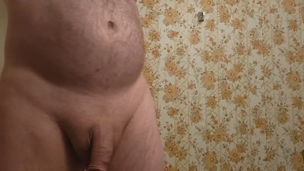 Fireball_one 29-01-2026 Recorded Video play