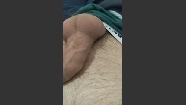 Reeflo 30-01-2026 Recorded Video analtoy