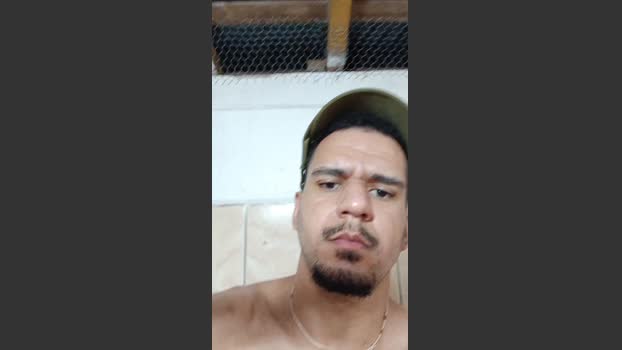 cachorrosolto1 30-01-2026 Recorded Video toy