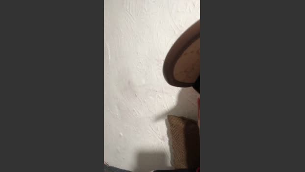 diablito7771 30-01-2026 Recorded Video wank