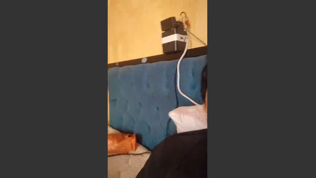 vergadura197 29-01-2026 Recorded Video ass