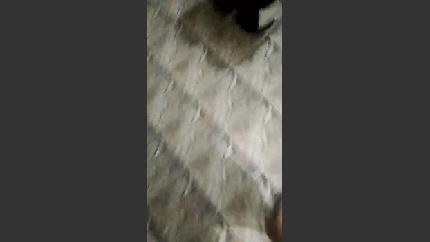 Branco01 31-01-2026 Recorded Video squirt
