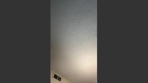 Coyote7979 30-01-2026 Recorded Video cute