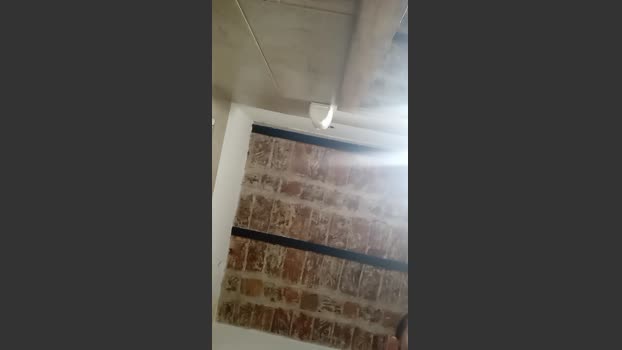 Luch2026 30-01-2026 Recorded Video sex
