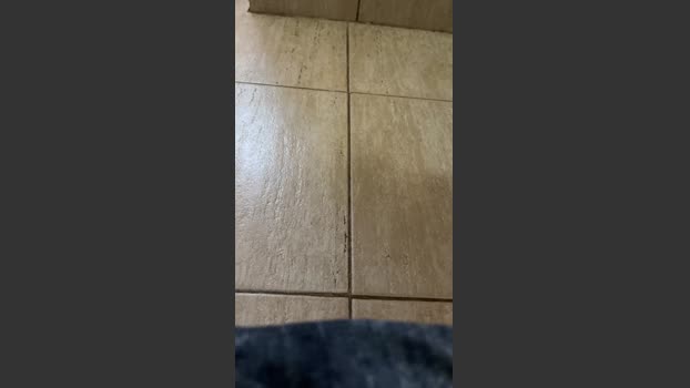 Pingaro 30-01-2026 Recorded Video Video