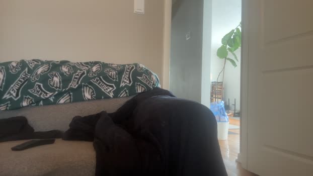 StudlyHardwood 31-01-2026 Recorded Video Download