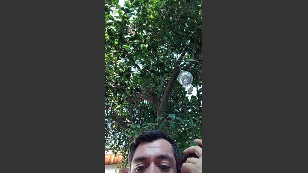 mauriandresver1 30-01-2026 Recorded Video gag
