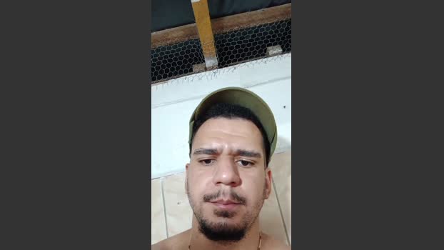 cachorrosolto1 01-02-2026 Recorded Video deep