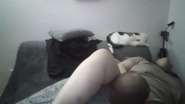 couple_love02 31-01-2026 Recorded Video show