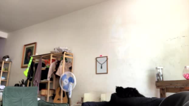 gerson229 31-01-2026 Recorded Video Webcam