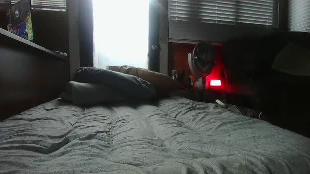 Bigtoyguy34 02-02-2026 Recorded Video Ass