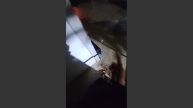 Comedorhard_gp 02-02-2026 Recorded Video cute