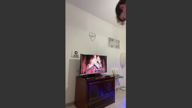 Germanyhot19 01-02-2026 Recorded Video bigtoys