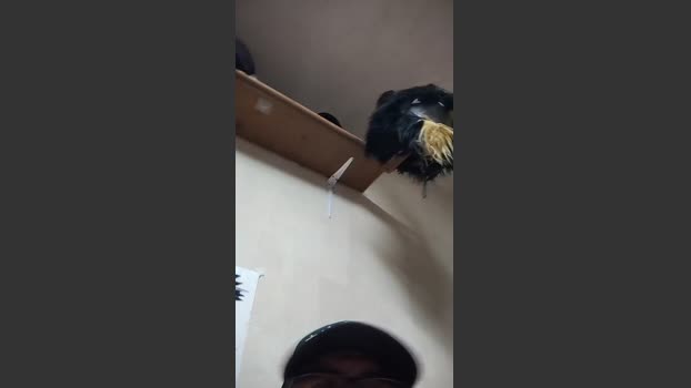 MrDante6699 02-02-2026 Recorded Video juicy