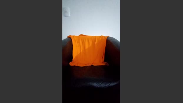 SaymonFitness 02-02-2026 Recorded Video playtime