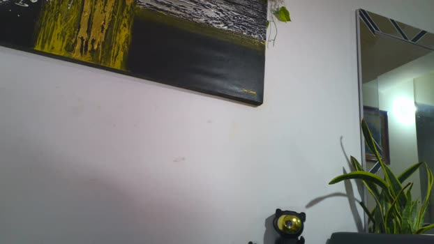 camilovergonho3 02-02-2026 Recorded Video Naked