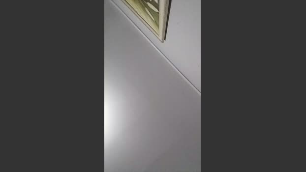 carlosbrasil69 02-02-2026 Recorded Video strip