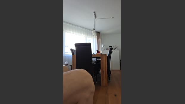 herkules6404 02-02-2026 Recorded Video naked