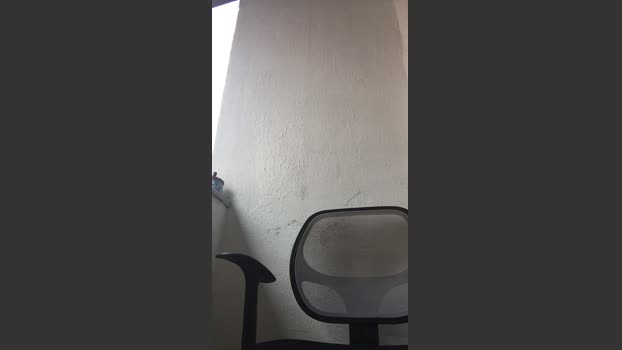 Abrahao22 02-02-2026 Recorded Video yummy