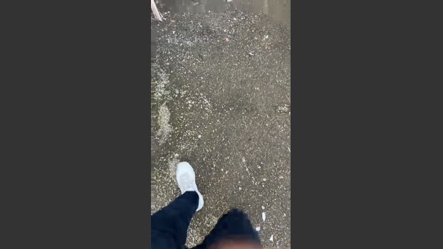 Bullnapol 03-02-2026 Recorded Video bigtoys
