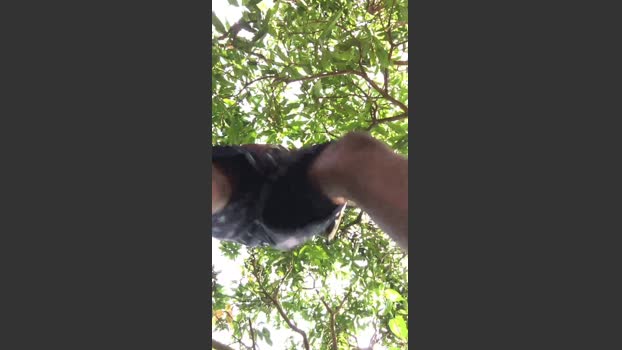 Hutchmansell 02-02-2026 Recorded Video Topless