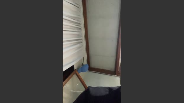 Ignatwink 03-02-2026 Recorded Video suck