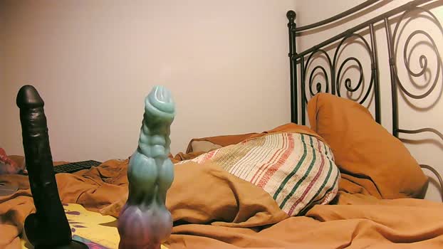 foxyanal 02-02-2026 Recorded Video nude