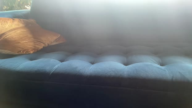 honeyhazel1 02-02-2026 Recorded Video moan