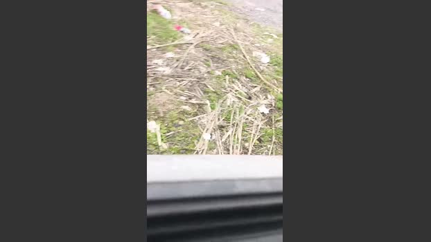 livenews1 03-02-2026 Recorded Video hard