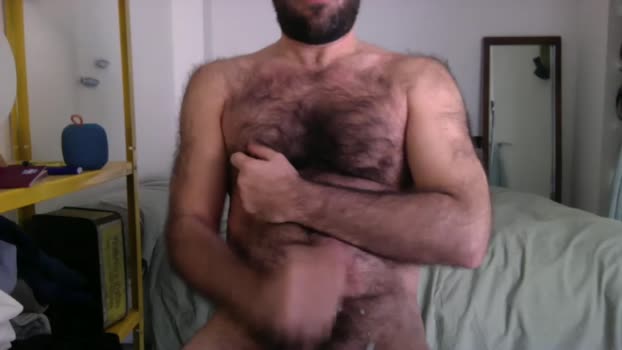 maestroy 03-02-2026 Recorded Video analtoy