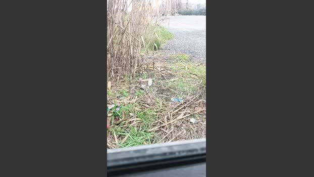livenews1 04-02-2026 Recorded Video big