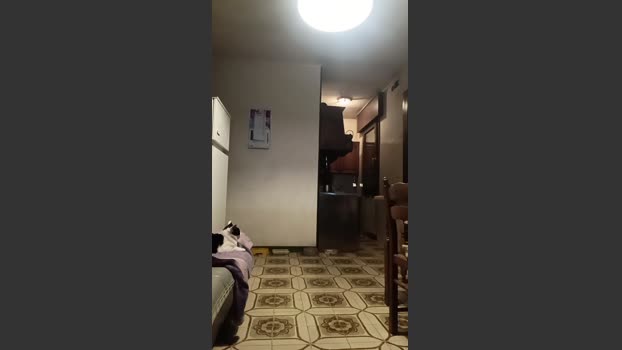 ragazzoporco83 04-02-2026 Recorded Video suck